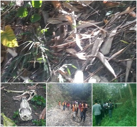 甲仙山區搜尋移除捕獸鋏活動，國家地理雜誌的攝影記者全程參與拍攝記錄。  社團法人台灣愛狗人協會/提供