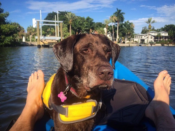 在探險之旅中，貝拉經常有機會游泳、戲水。  取自網路