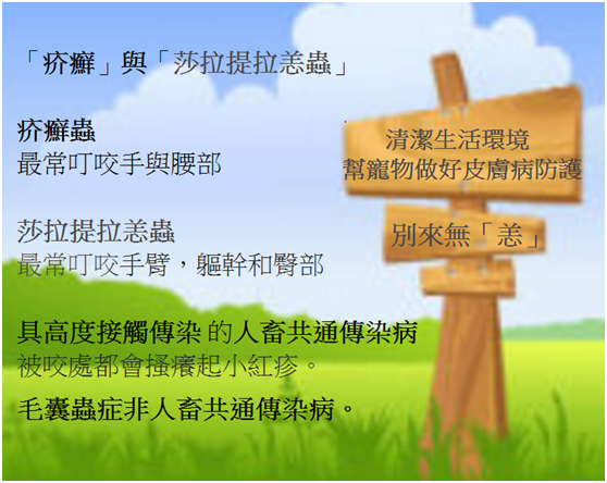 犬貓皮膚病中的疥癬、毛囊蟲症與莎拉提拉恙蟲，都是由寄生在皮膚內部的恙蟲引起。瑭芯/製