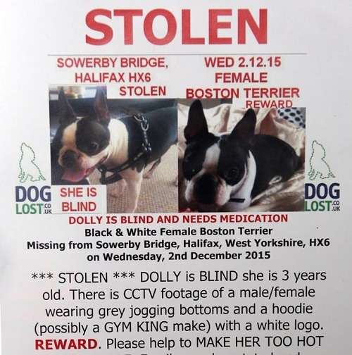 克爾也製作了尋狗啟事，請街坊鄰居協助尋找多莉，也真發揮了效果。 取自網路