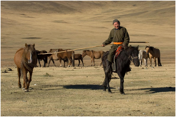 據說，成吉思汗認為「沒有馬的蒙古人，就像鳥兒沒有翅膀。」  取自網路