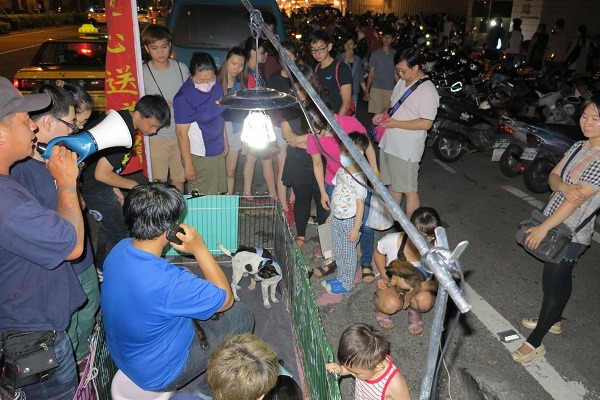 徐滿惠志工團在人潮熙攘的夜市辦認養會，引起逛夜市民眾圍觀。 蕭士塔/攝