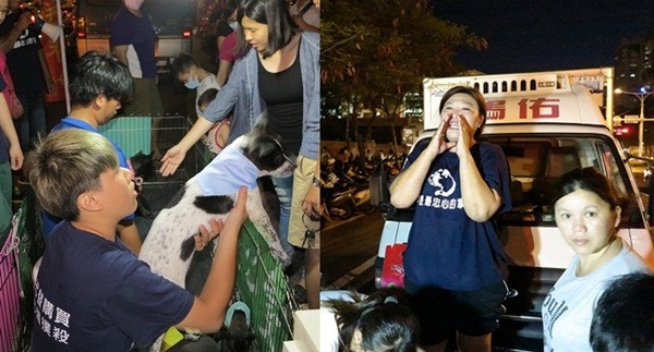 送養會上，大聲公沒電了，徐滿惠(右)仍大聲呼喊「叫賣」浪浪。  蕭士塔/攝