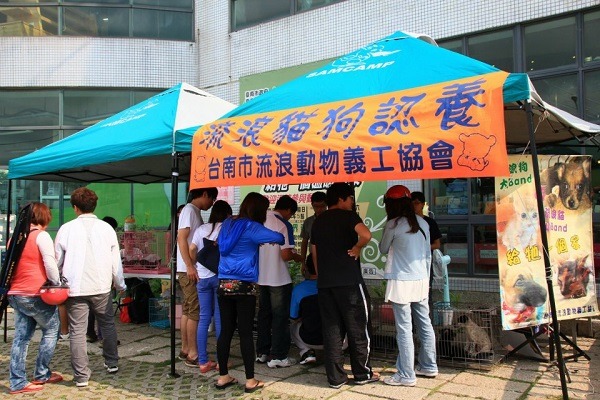 台南市流浪動物義工協會每月辦理4場送養會,協助紓解動物之家的流浪犬貓數量。 蕭士塔/攝