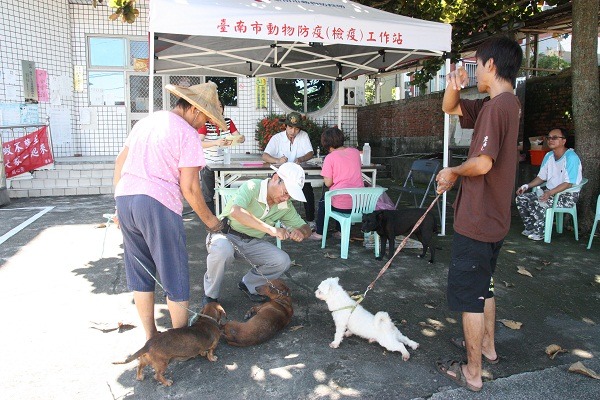 台南市今年將增加稽查狂犬病預防注射場次。 蕭士塔/攝