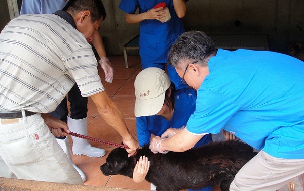 台南市動保處今年派員到私人收容所,施打狂犬病疫苗。 蕭士塔/攝