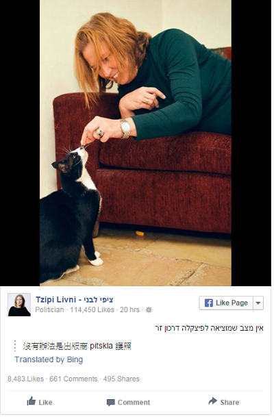 前外交部長也對輸出流浪貓的提議不滿，在推特上表態。 取自網路