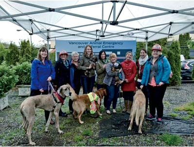 溫哥華動物急救及轉介中心VAERC在4月26日舉行奠基儀式,預計2016年1月正式營運。 取自網路