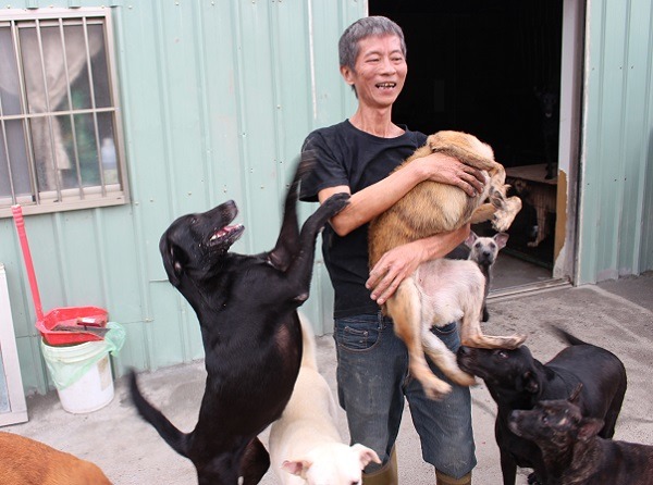 寵物訪協助的第一個狗場，是隸屬中華親善保護動物協會的五股幼幼狗場。何宜/攝