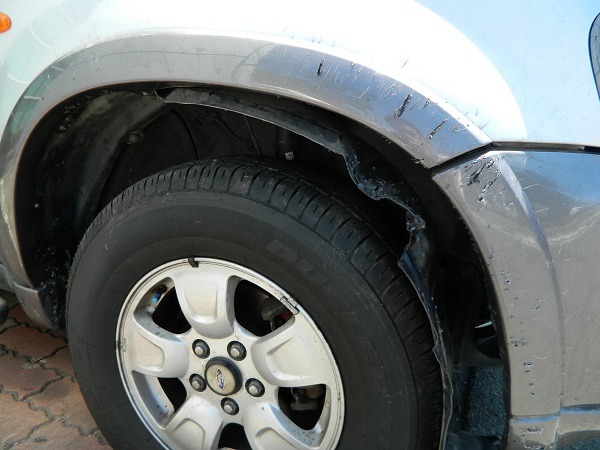 狗群為攻擊窩藏在汽車引擎室的貓,將車子咬得遍體鱗傷。 蕭士塔/攝