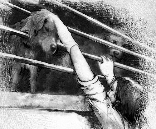 兩岸動物福利論壇的活動收入，都將成為終止玉林狗肉節的基金。                               鞏增恆/提供