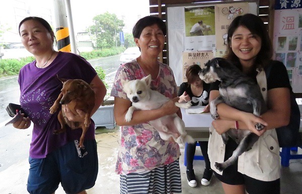 雪納瑞的主人開車向迷你品、吉娃娃的飼主問路，之後3個陌生人共乘帶狗前往注射站。 蕭士塔/攝