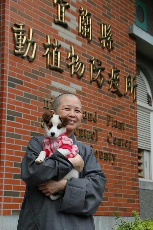 關懷生命協會創會理事長釋昭慧法師領養了收容所裡的小浪浪拿鐵。黃慶榮/攝