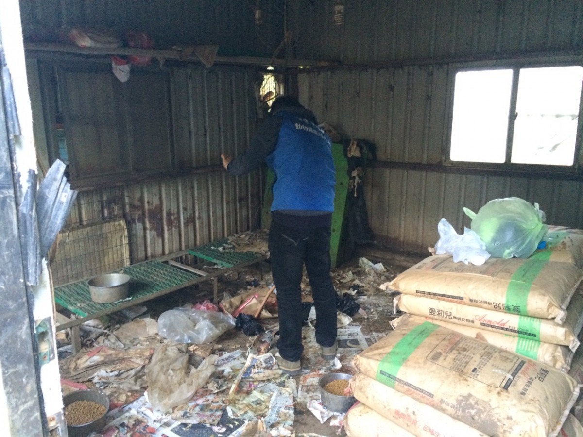 新北市動保處接獲檢舉，昨天到「中華民國世界聯合保護動物協會」陳姓理事長的狗場稽查。　新北市動保處/提供