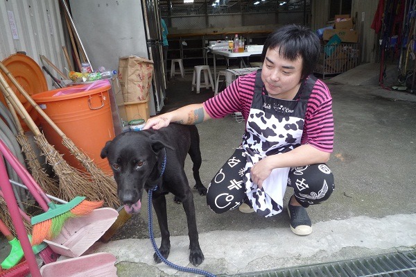 家裡沒養過狗的陳紀綸，把休假時間都投注於動物之家的志工服務工作。 新北動保處/提供