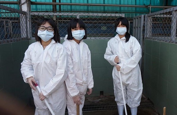 目前灣裡收容所志工人力仍不足，在正常上班時間仍非常需要額外的志工協助。 蕭士塔/攝