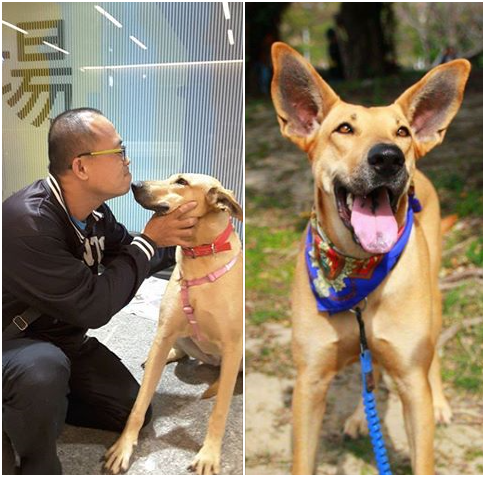 離情依依!武藤看著親手帶離檳榔攤並送醫、送至狗場中途的紙片妹妹,即將踏上幸福之路,送機時不免感動又感傷! 武藤/提供