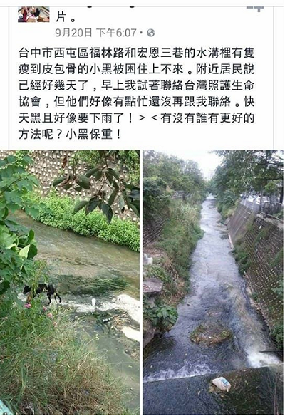 救援流浪動物的志工武藤看到這則求救訊息，立即前往了解和救援。　武藤/提供