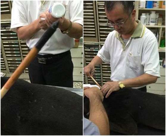 獸醫師為疑遭十字弓射擊，被40公分竹箭插頸的流浪黑犬處理傷口。南投縣關懷動物協會/提供