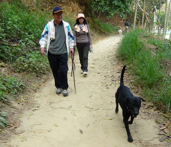 中興林場是南部地區熱門的健行場所，許多民眾帶狗一起爬山運動。蕭士塔/攝