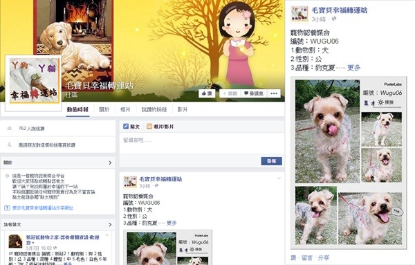 新北動保處設立的「毛寶貝幸福轉運站」,是寵物認養的媒合平台,也給予飼主一個月的思考期, 希望他們打消不擬續養寵物的念頭。