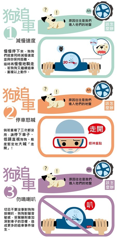 在校園內遇到狗追車，怎麼辦? 高師大流浪動物志工隊製作了文宣品，指導同學如何正確反應。