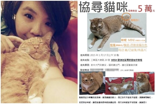 一張尋貓啟事，一段感人故事，葉小姐說，咪妮是家人，我不能想像沒有她的日子。　葉小姐/提供