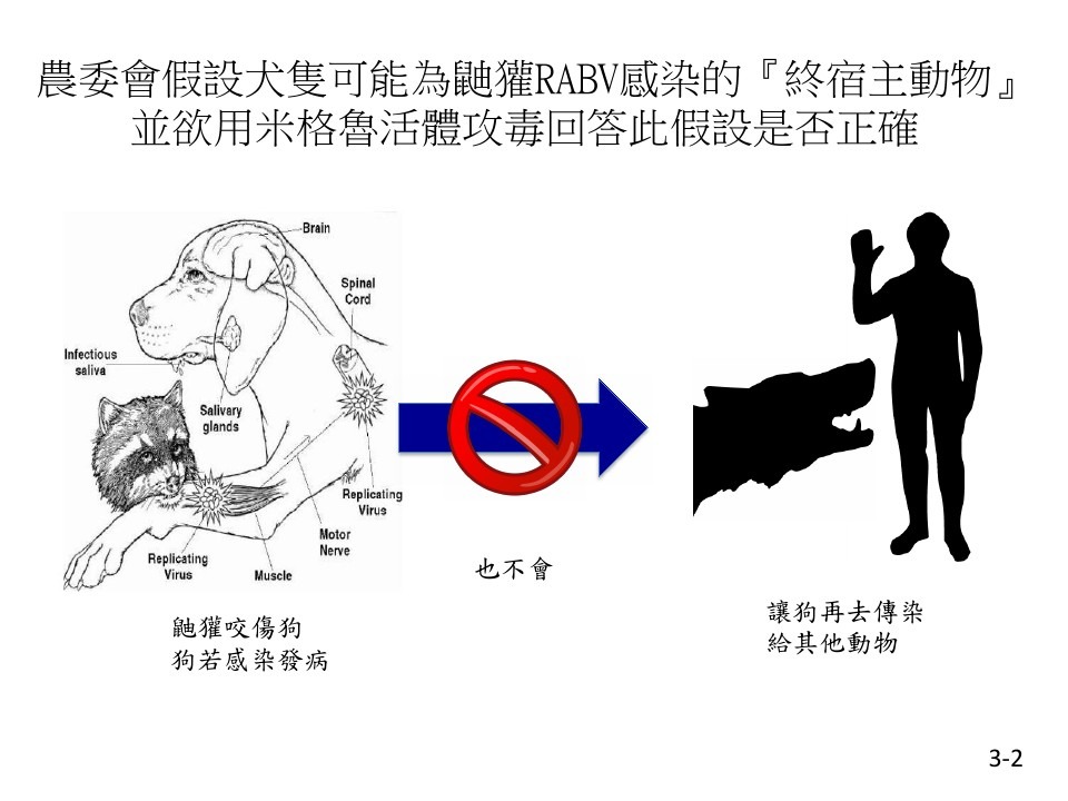 狂犬病本來就是低傳染性的，無法透過活體試驗驗證最終宿主。  台灣動物社會研究會/提供