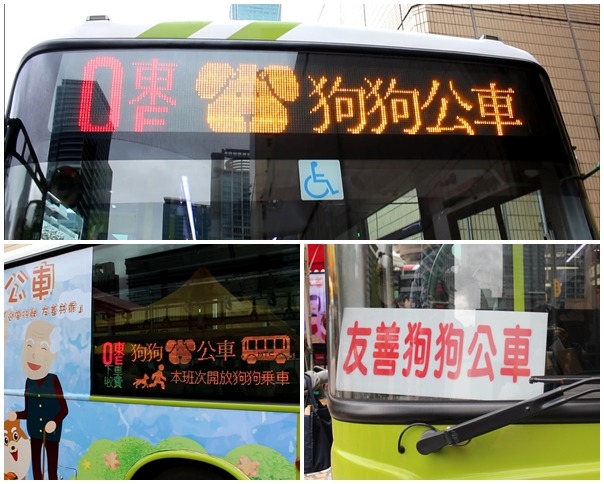 認明這個標誌的公車,就是可以帶毛孩搭乘的友善狗狗公車喔! 資料照(李娉婷/攝)