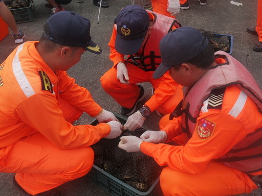 海巡署日前接獲線報，以突擊檢查方式破獲保育類烏龜走私案，本次有高達1149隻烏龜。　取自海巡署