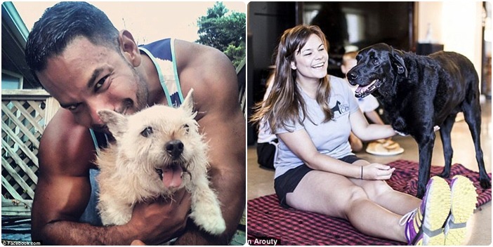 美國兩位飼主選擇開心的陪伴毛孩度過最後的生命歲月。 取自網路