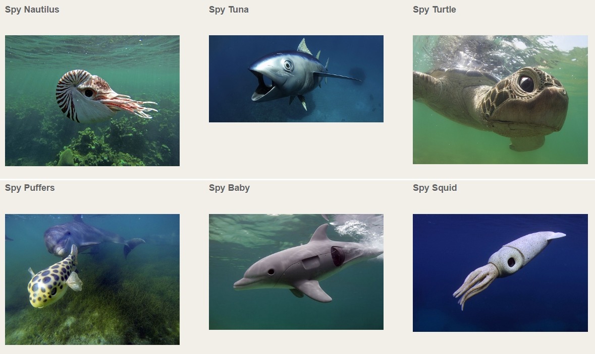 翻攝自John Downer Productions