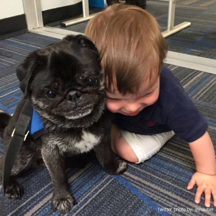 這張可愛到簡直犯規啦! 取自United Airlines