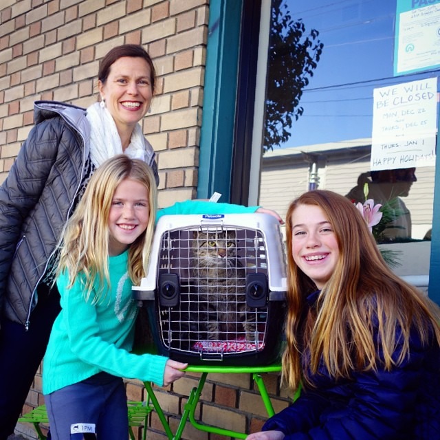 照片中的貓叫Jax，是咖啡廳裡第66隻被領養的貓！　取自貓鎮咖啡臉書