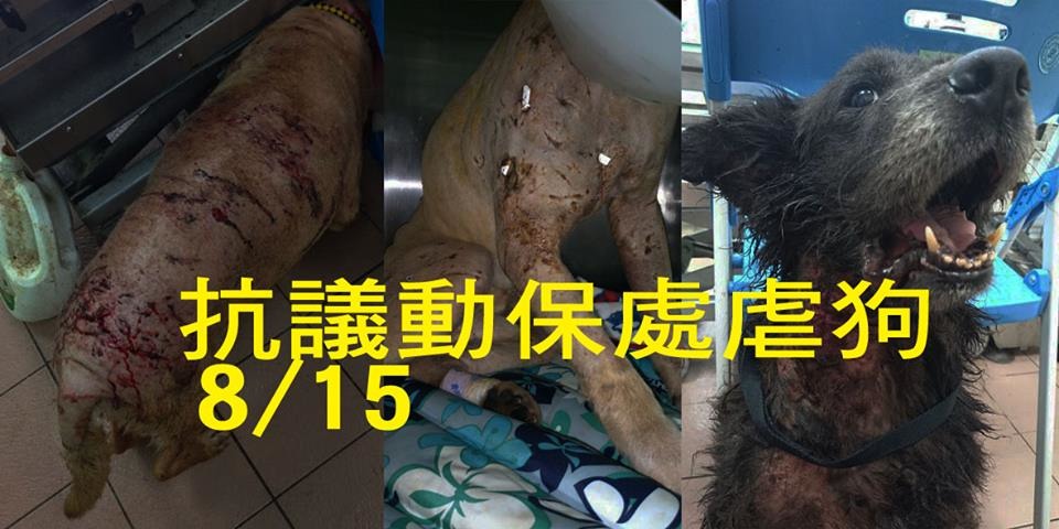 8/15動保法修法聯盟將要站上街頭抗議。 取自黃泰山臉書