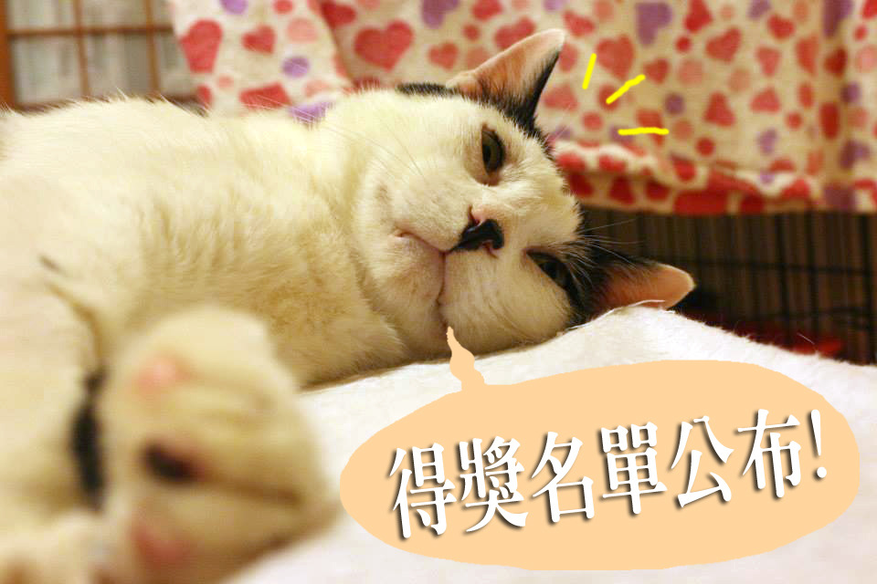 快來看看你是不是人氣獎得主喔！　顧珮蓁/攝、何宜/後製