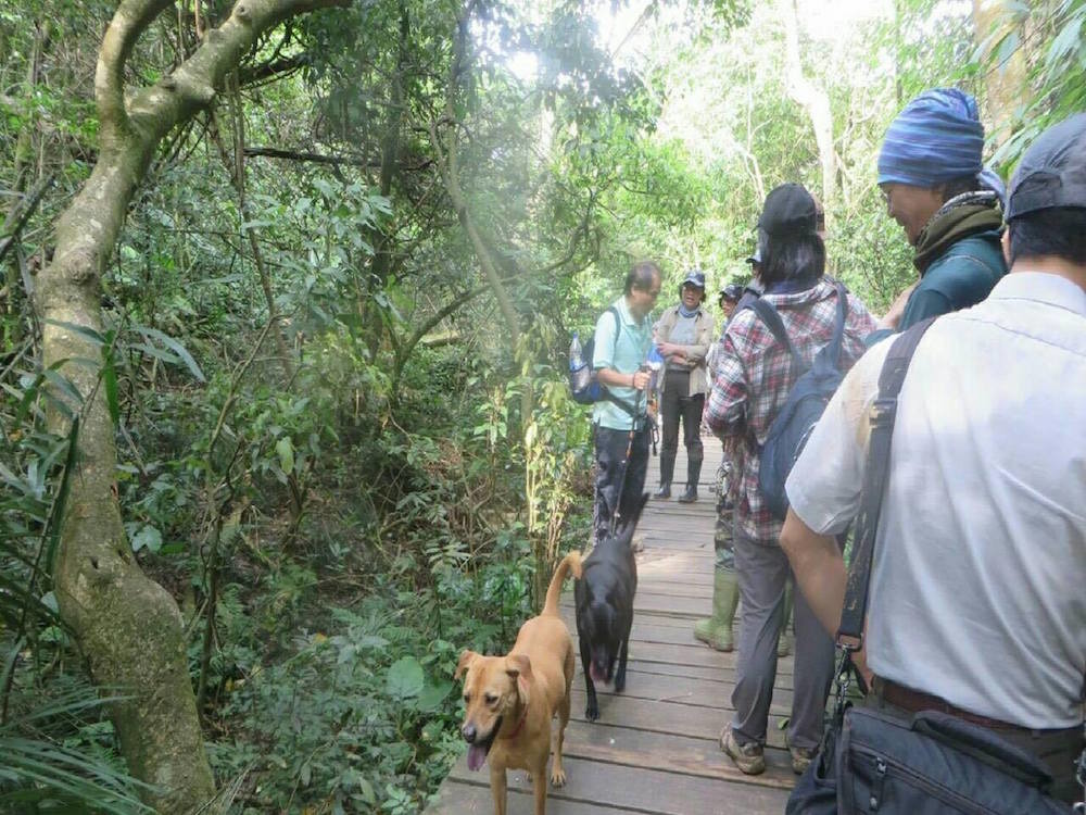 日前一位前立委違反壽山國家自然公園禁止事項,堅持帶著自家狗兒爬山,卻不顧上前勸導的國家公園警察,暴露出嚴重的問題。 壽山籌備處/提供