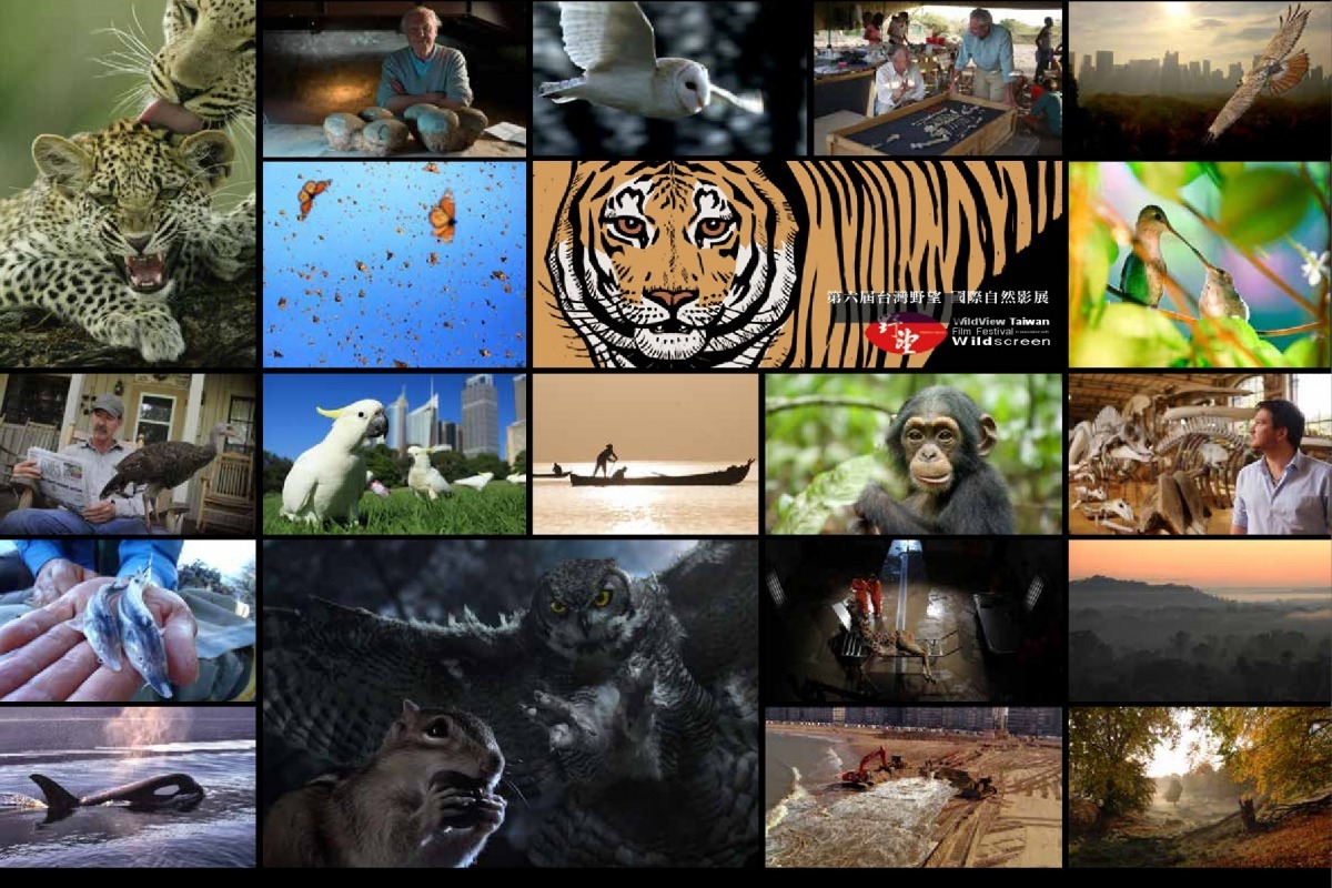 喜迎新春、歡渡雞年！壽山國家自然公園都推出影展，歡迎民眾一起參與！　壽山籌備處/提供