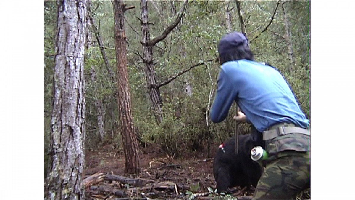 黃美秀老師與黑熊Lon在14年前的相遇，她認為研究者應該要感恩、謹慎，並回饋保育才能不負這些野生動物所託。　翻攝自黃美秀臉書