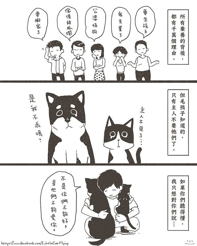 小咖飛Little Cat Flying/提供