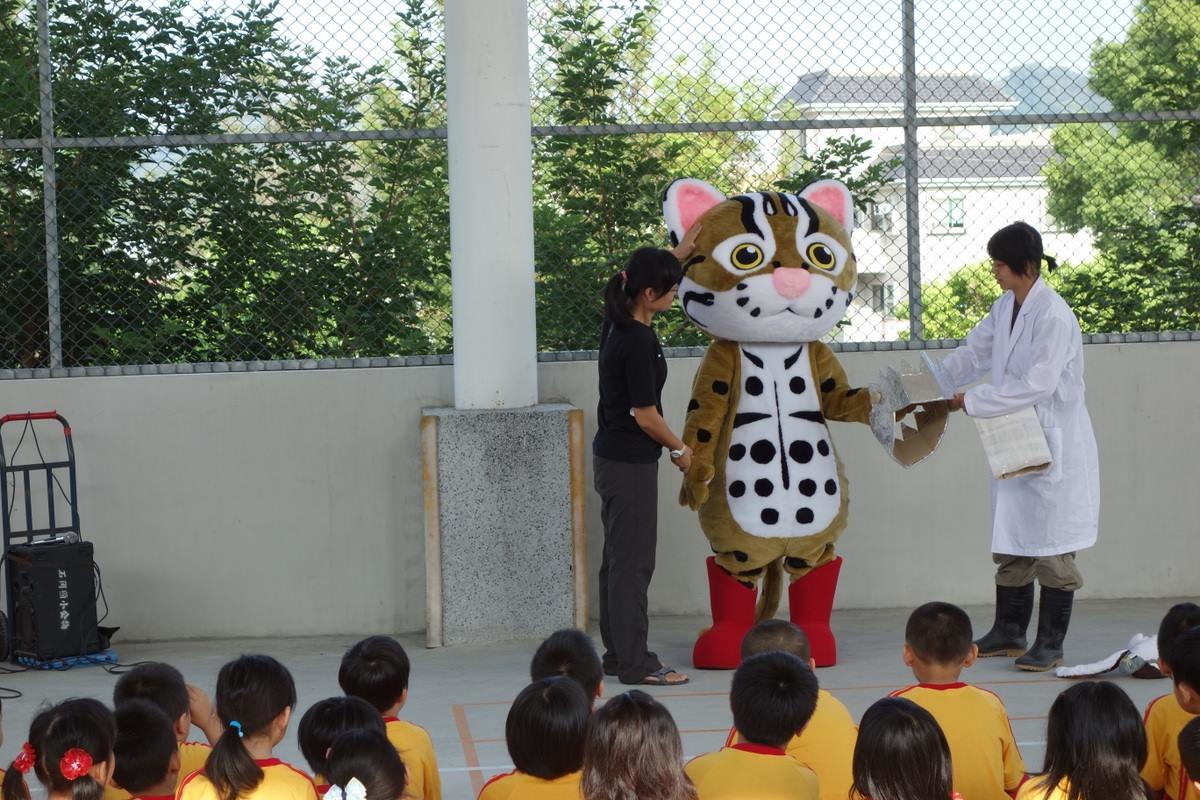 阿虎人偶到各個學校進行宣導教育，希望小朋友能瞭解石虎這個物種。　取自友善環境。守護石虎