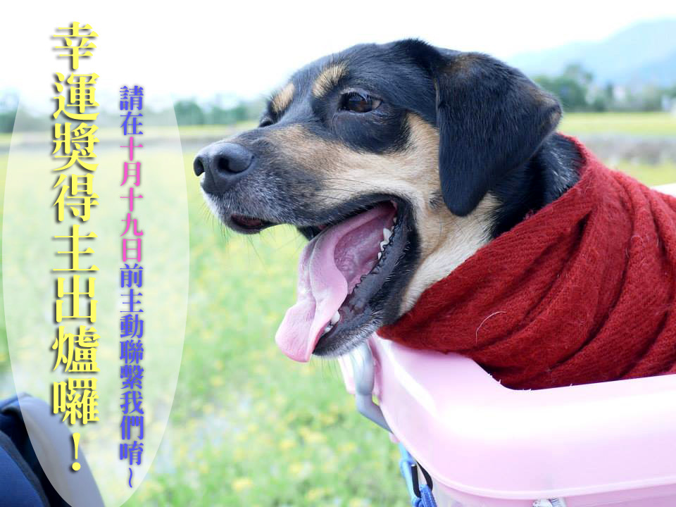 恭喜這10位獲得幸運獎的粉絲，請趕快聯繫我們喔！　林淑惠/攝、何宜/後製