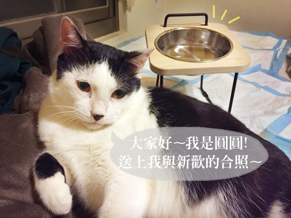 圓圓與收到的托高碗架合照。 顧珮蓁/提供