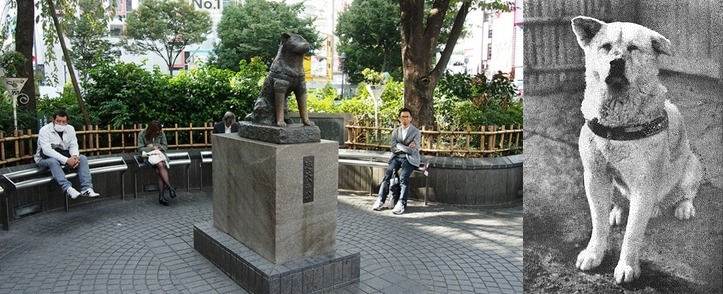 (左)Flickr_Isriya Paireepairit、(右) 