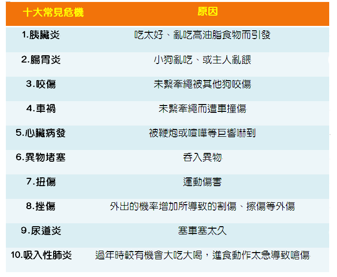 全國動物醫院/提供