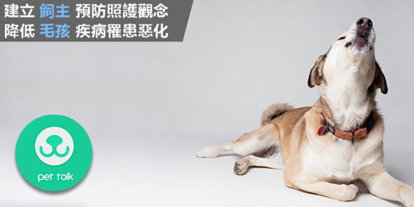 Pet Talk寵聚團隊在網路上打造獸醫線上問診平台，提供飼主一個與獸醫師間的管道。　取自Pet Talk粉絲團