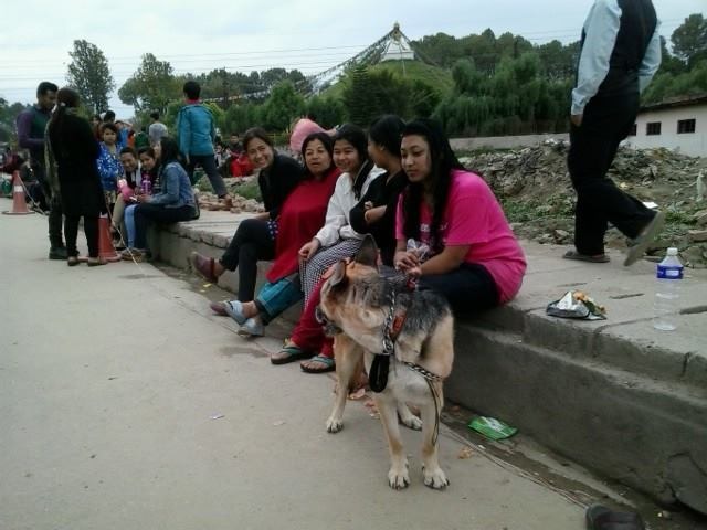因為餘震不斷只好搬到屋外的加德滿都居民,也不忘帶著自家寵物。 取自Animal Nepal