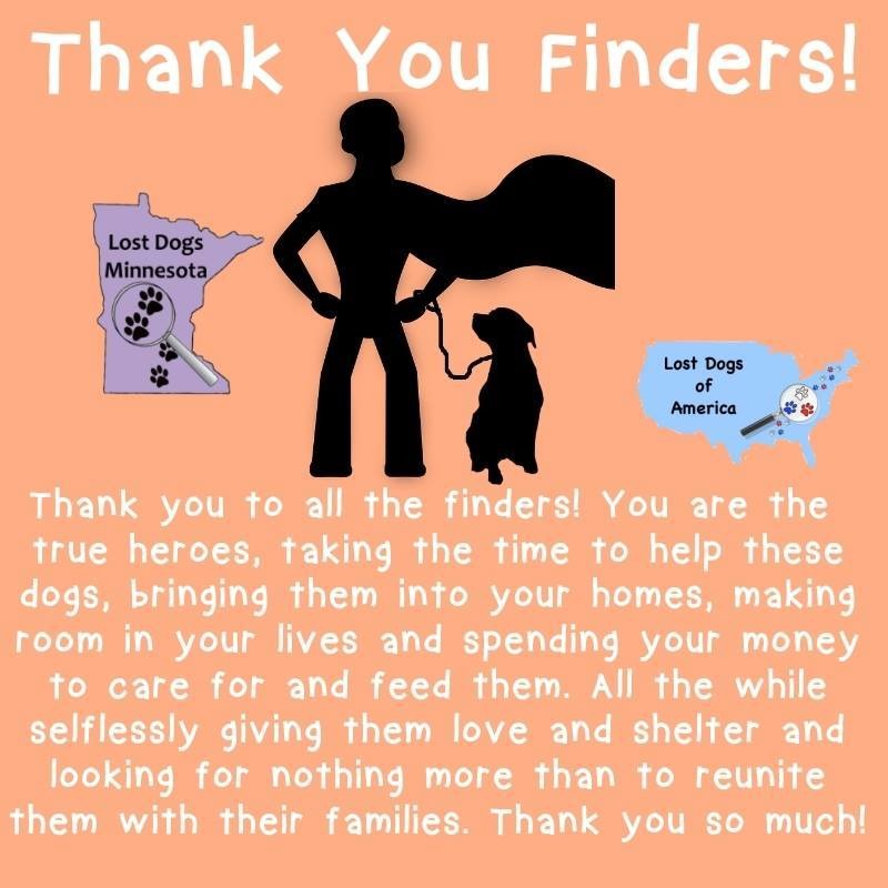 在「全美走失狗狗警覺日」這天,LDOA也想特別感謝那些找到迷路的狗,並願意照顧狗而直到牠們再次回到家人的懷抱的勇士們! 取自Lost Dogs Minnesota