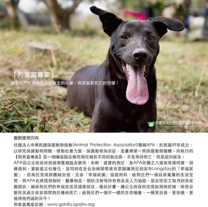 保護動物協會所執行的狗來富專案，會從公立收容所救援瀕臨安樂死的狗狗，訓練社會化後送至合作的幸福家園Longstay，重獲新生！　APA/提供