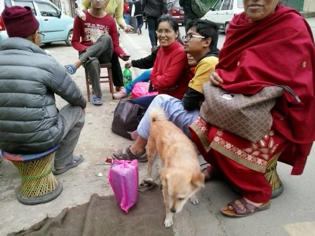 加德滿都居民在地震發生後都睡在屋外,部分民眾也都將寵物帶在身邊。 取自Animal Nepal